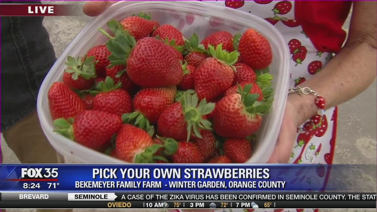 David Does It: Strawberries