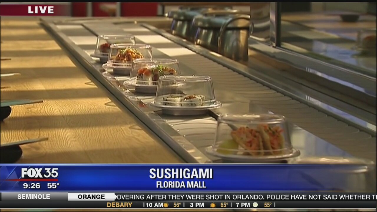 David Does It: Sushigami