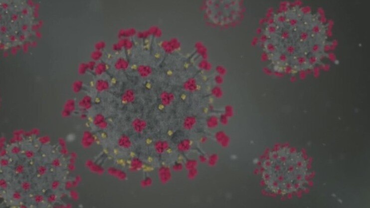 Medical Experts: Another wave of COVID-19 is in full effect