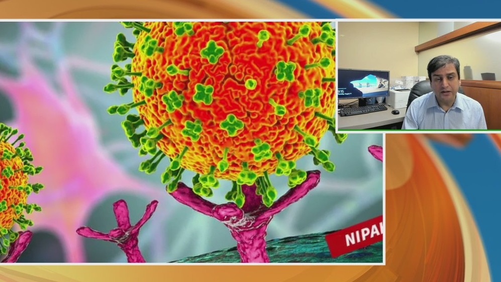 What we know about the Langya virus