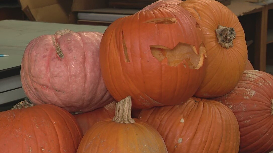 City of Houston collecting discarded Halloween pumpkins