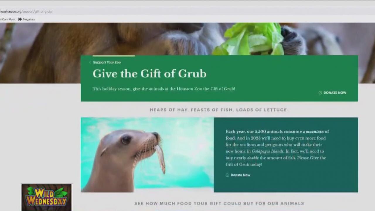 You can give the 'Gift of Grub' to animals at Houston Zoo