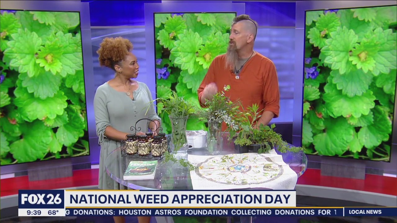 Weed Appreciation Day: Don't step on these edibles!