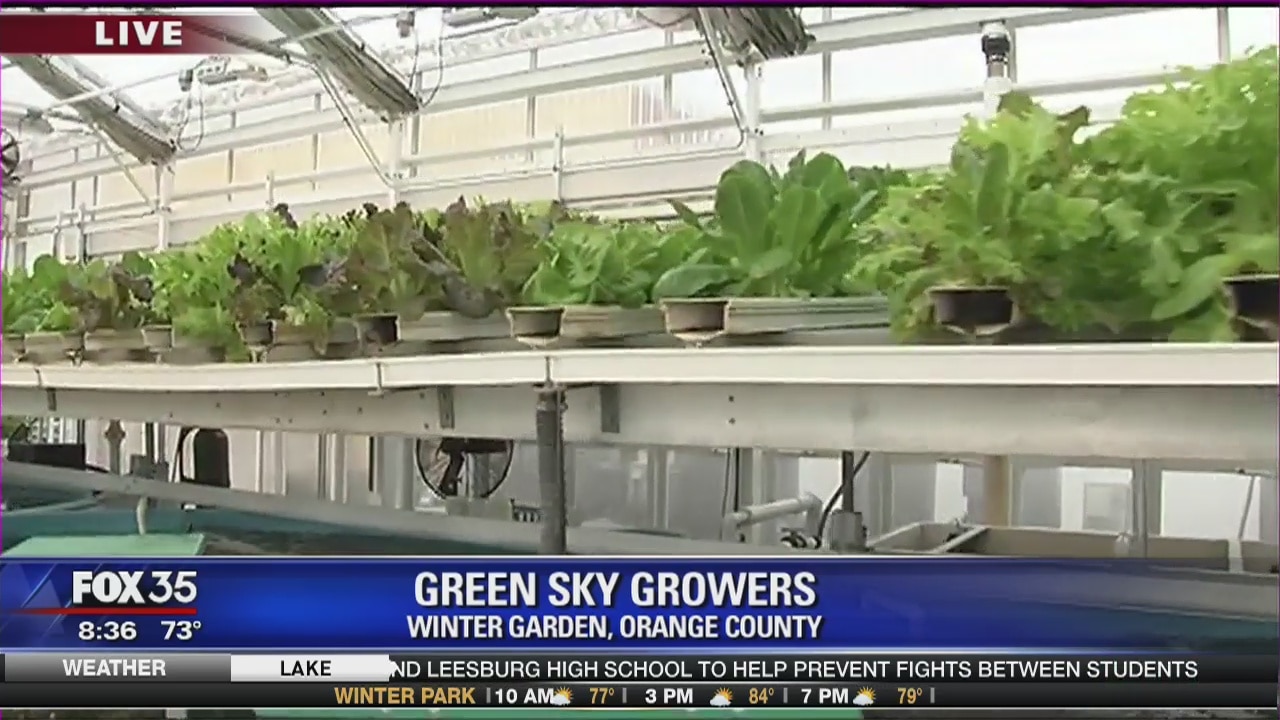 David Does It: Green Sky Growers
