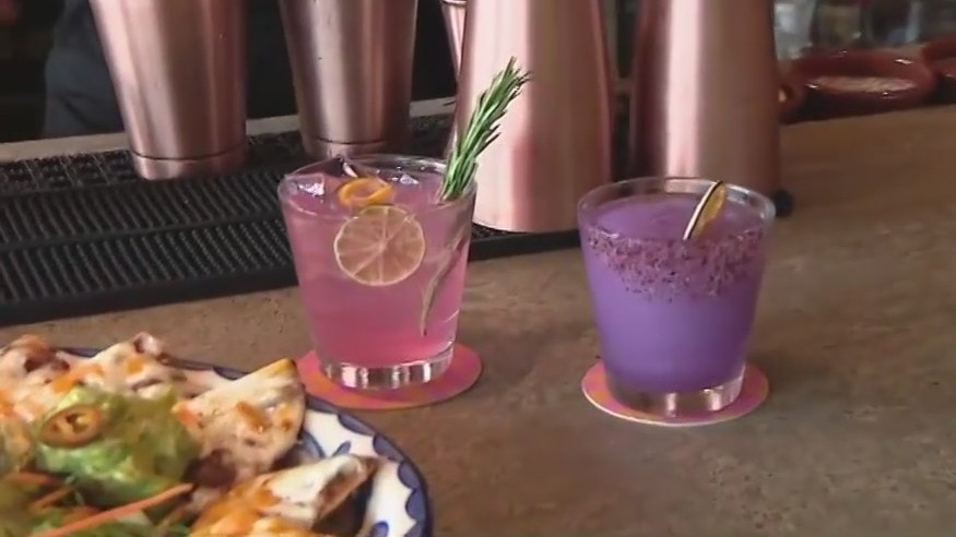 Cinco de Mayo at Mandito's Tex-Mex Restaurant