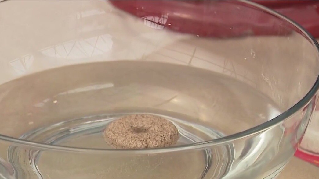 Fight the bite: How to get rid of mosquitoes