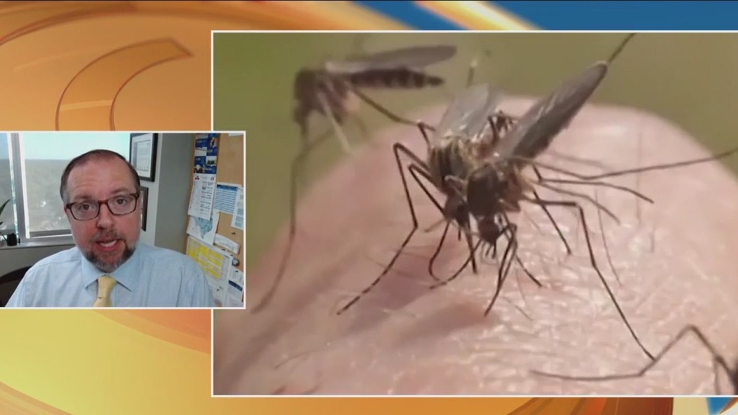 Is malaria making a comeback in Texas?