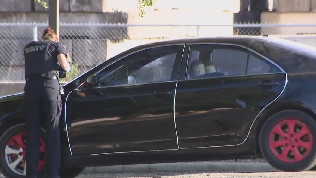 Heatwave: Infant's hot car death amidst Houston's rising toll