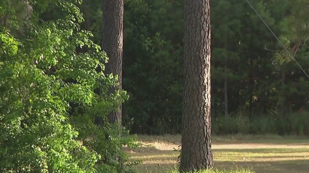 Fire warning putting Houston trees in danger