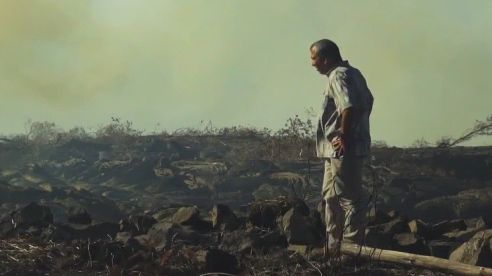 Maui wildfires recovery is concerning residents