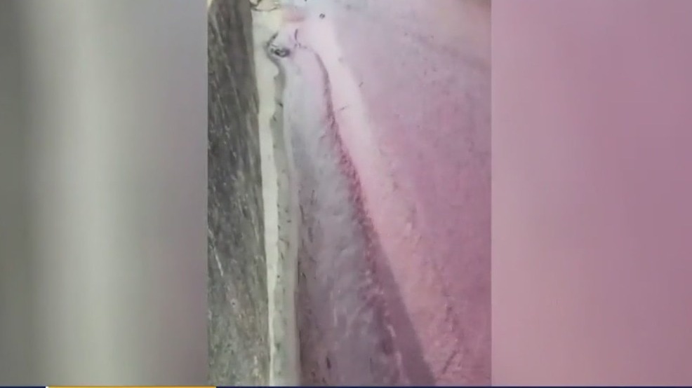 'Bottomless' red wine service in Portugal