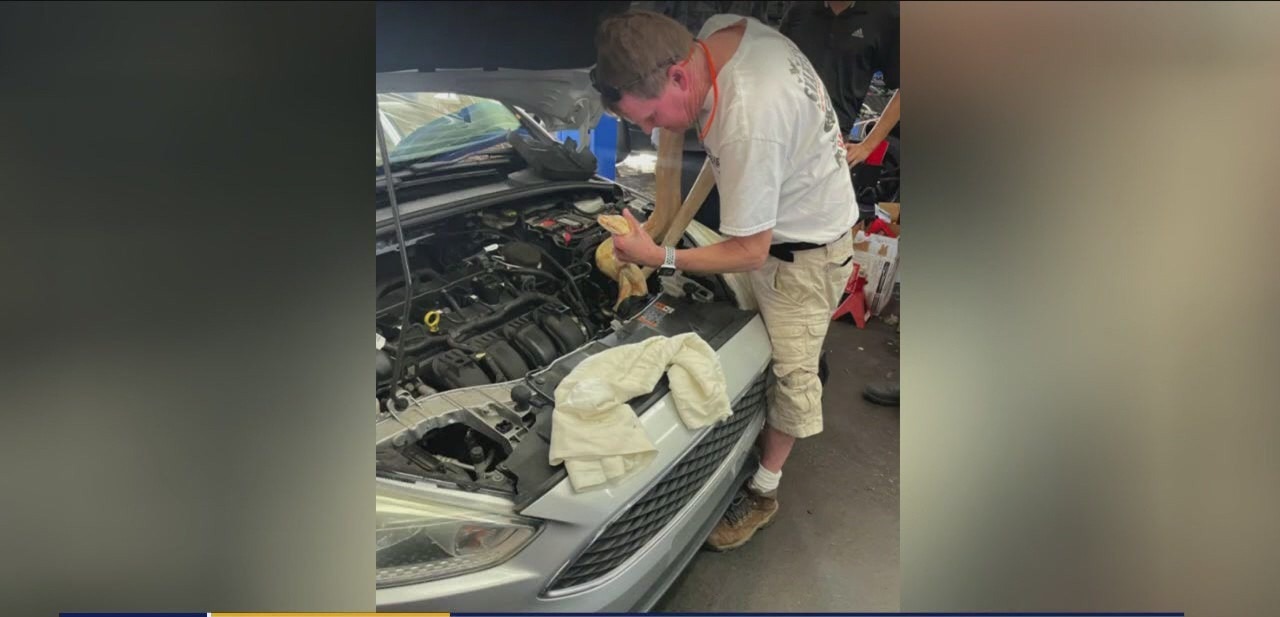 Mechanics find massive snake in car