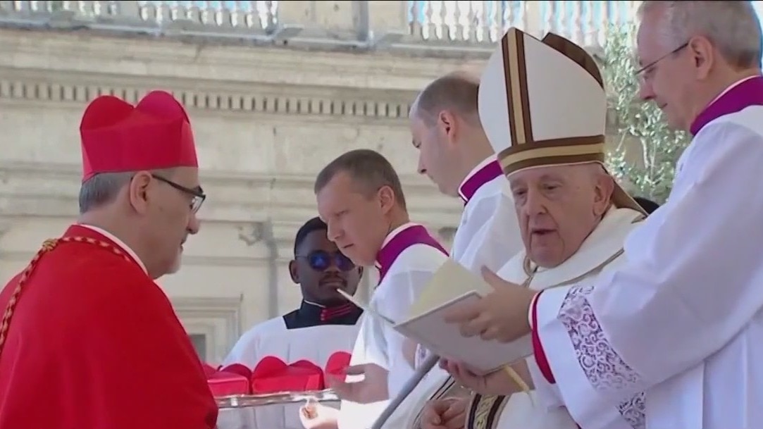 Catholic church grants women voting rights at Synod