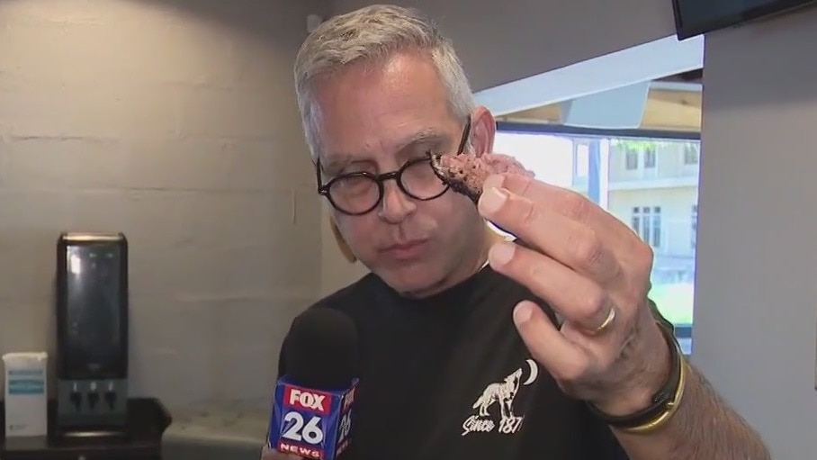 Houston and Dallas face off in BBQ quest