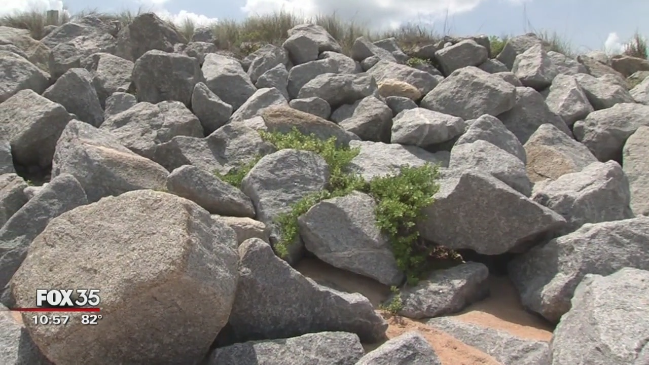 Flagler County fights beach erosion