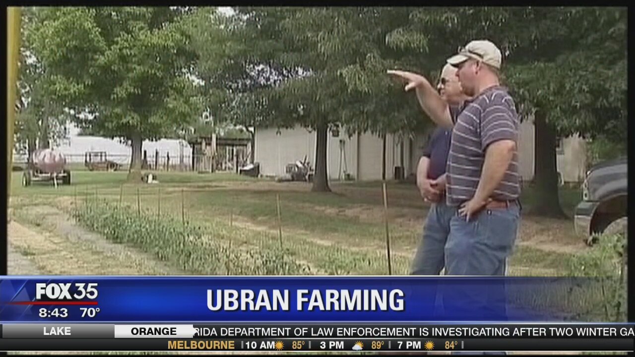 Urban Farming
