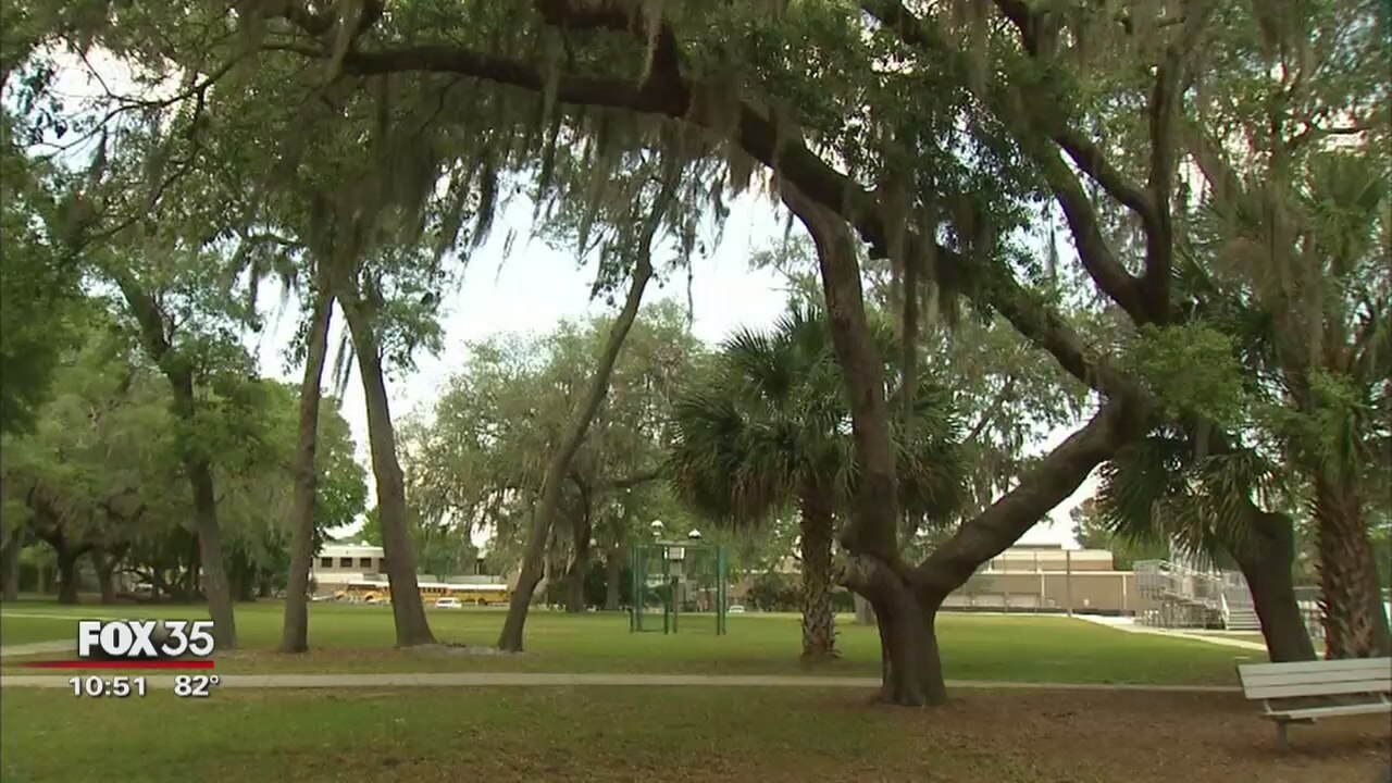 Arborist offers tips on hurricane tree preps