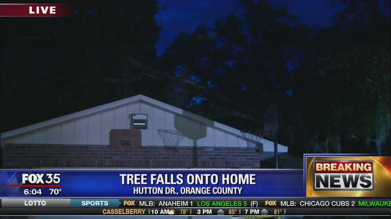 Tree falls onto home