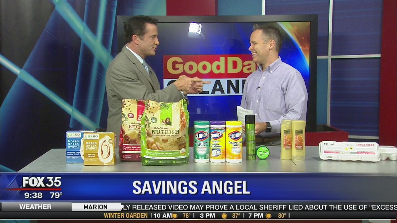 SavingsAngel on Good Day Orlando