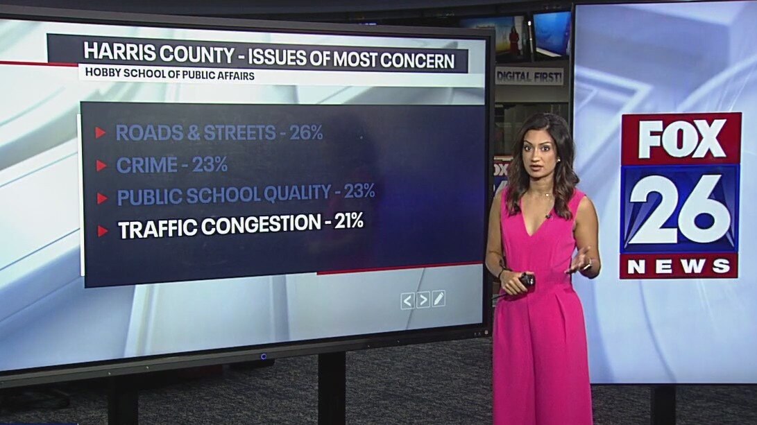 Harris County voters main concerns: report