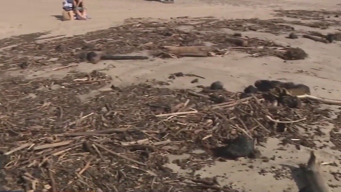 Leftover debris from LA wildfires spark controversy