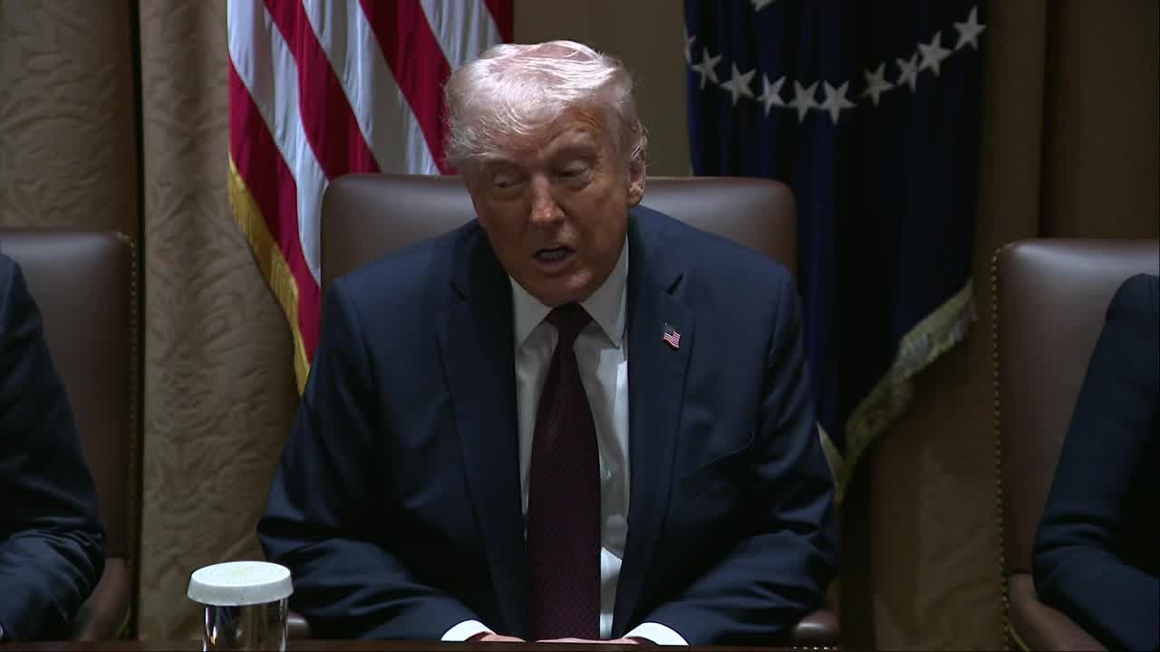 Trump cabinet reveals DOGE spending cuts