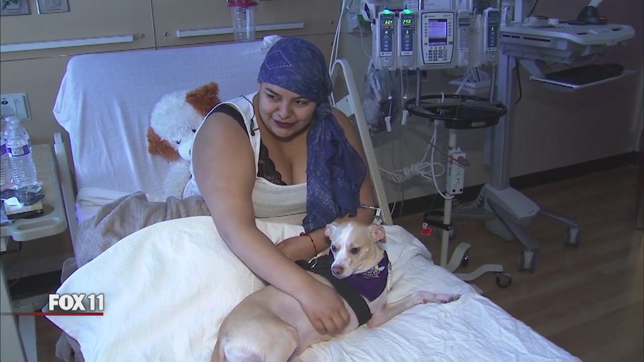 FOX 11 News In Depth: Therapy Dogs