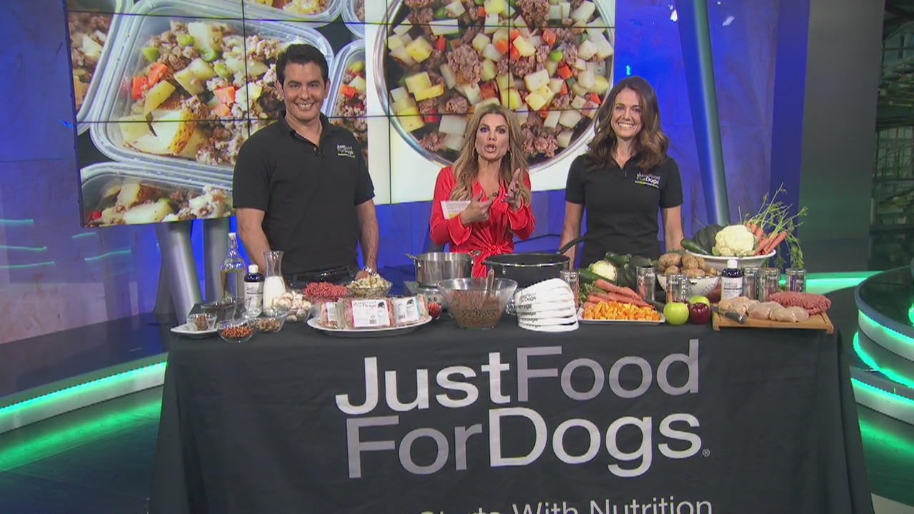 Just food for dogs: Make your own healthy pet food