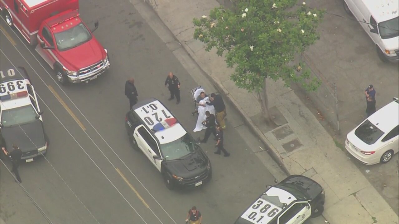 Three pit bulls shot by LAPD officers during attack on man, small dog