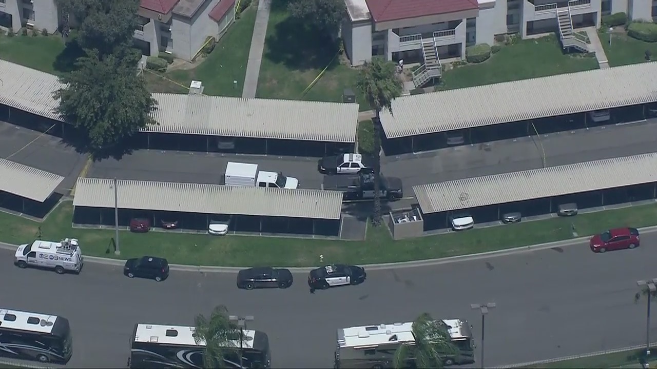 Grandmother sought after allegedly stabbing two grandchildren