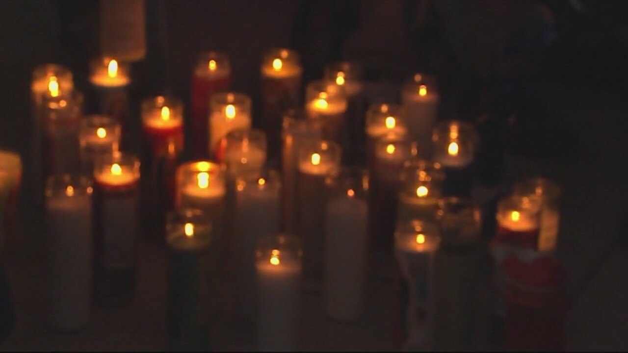 17-year-old killed when hit by a bullet aimed at dog ricochets