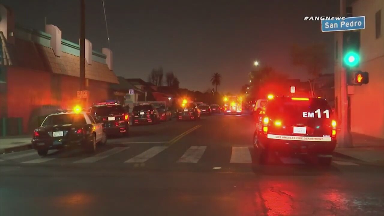 Mother and children found naked, unconscious and covered in powder in South LA