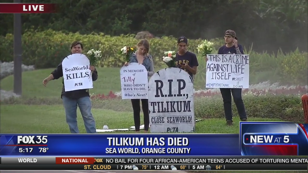 Killer whale Tilikum has died