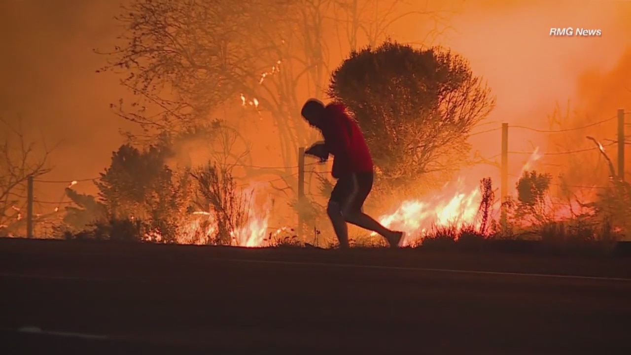 Man saves rabbit from Thomas fire