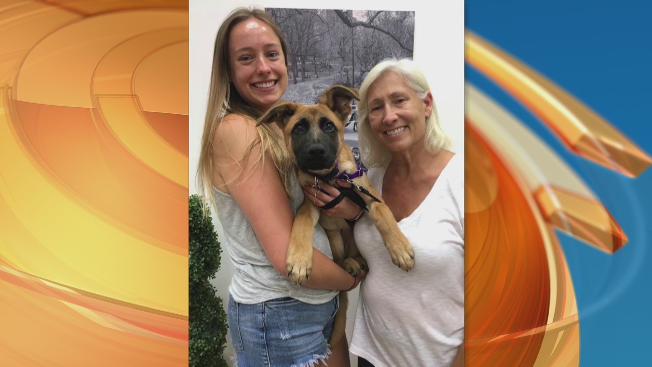 A Pet Project success story on GDLA!