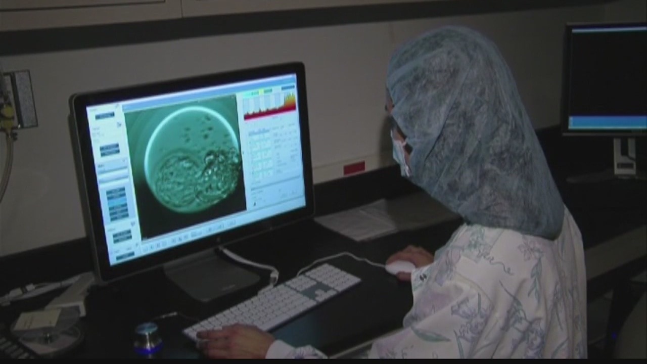 Growing number of millennials are freezing their eggs