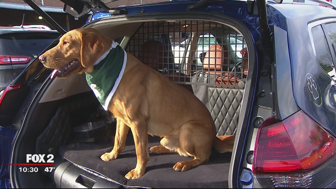 MSU's Zeke the Wonderdog shows off Rogue Dogue dog-friendly vehicle