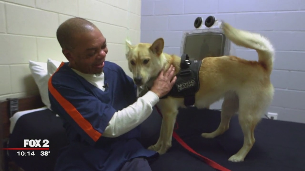 First Michigan prison therapy dog makes a difference with dangerous prisoners