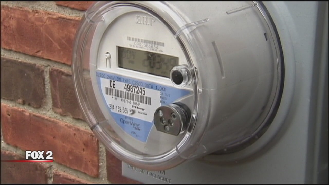 Family chooses to live with no power rather than a DTE Smart Meter