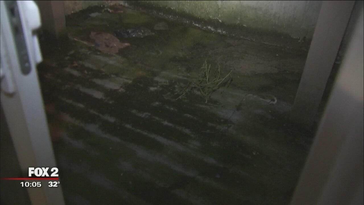 Inkster apartment complex now dealing with flooding
