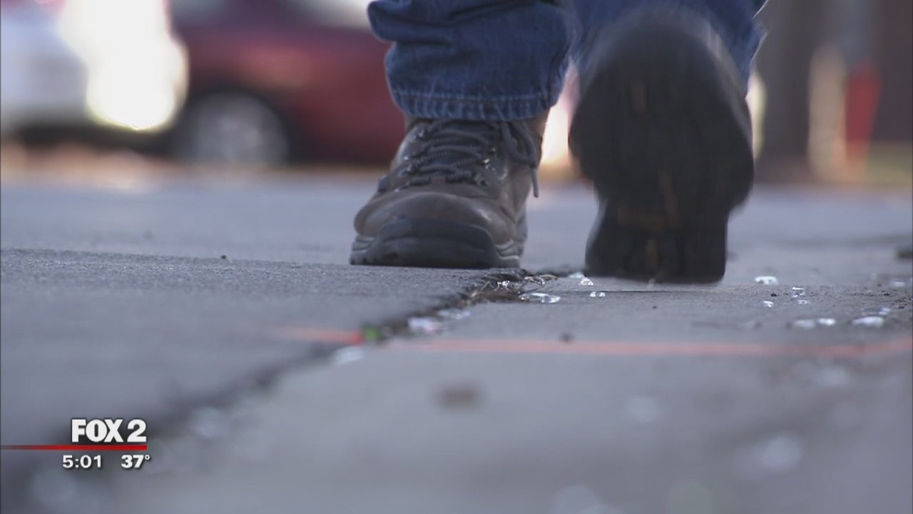 Woman walking dog uses licensed gun to scare off attacker