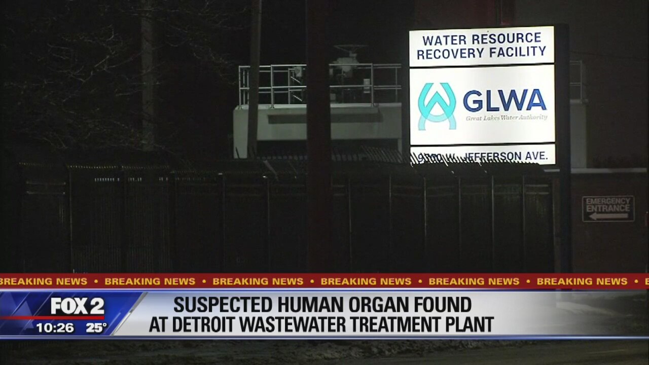 Second possible human organ found at Detroit wastewater plant in 2 days