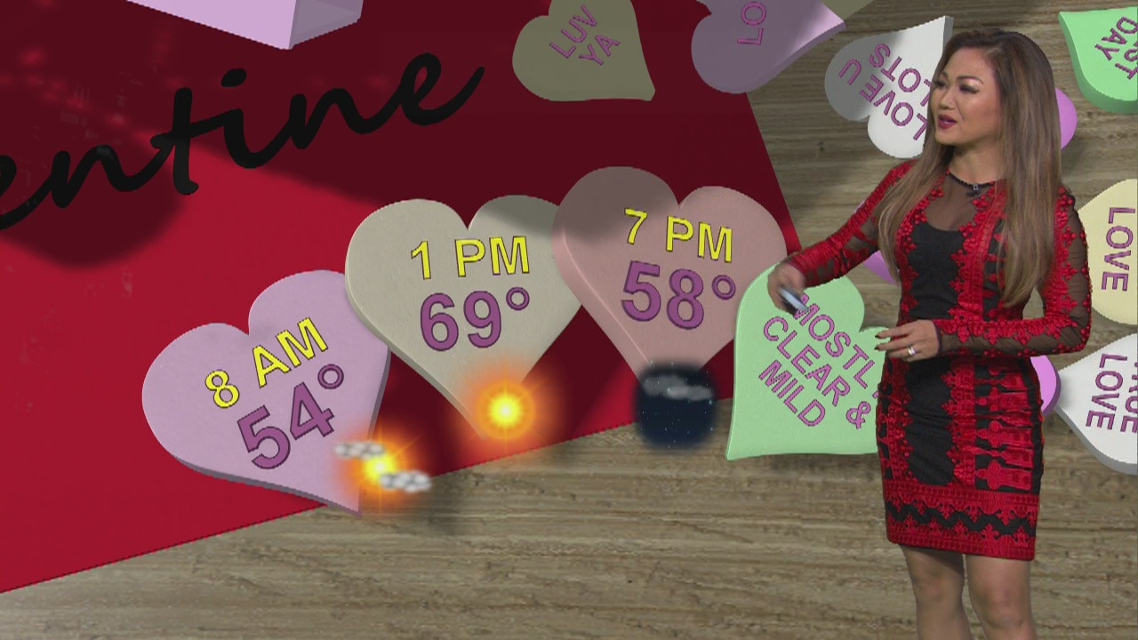 Weather Forecast for Friday, February 14