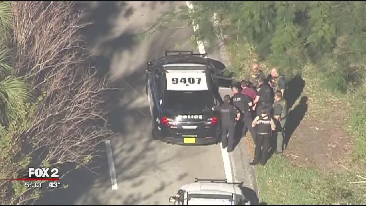Suspect in Florida high school mass shooting in custody