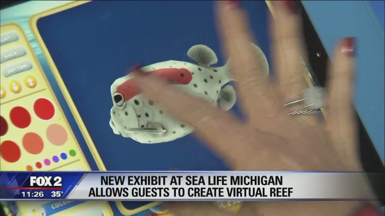Create virtual fish at new Sea Life exhibit