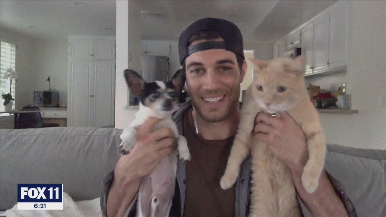 Coronavirus and your pets
