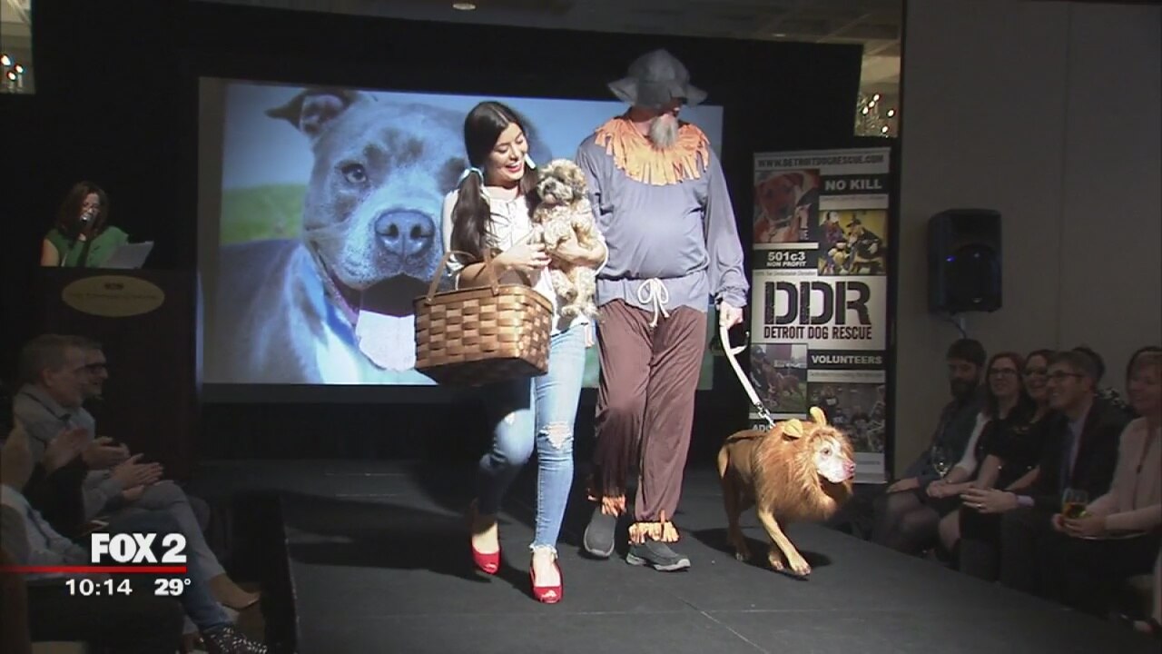 Canines and Couture raises money for Detroit Dog Rescue