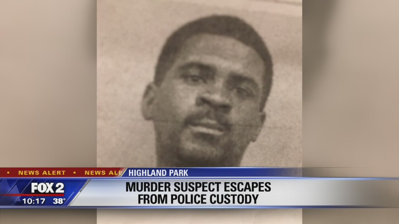 Person of interest in fatal stabbing escapes police custody