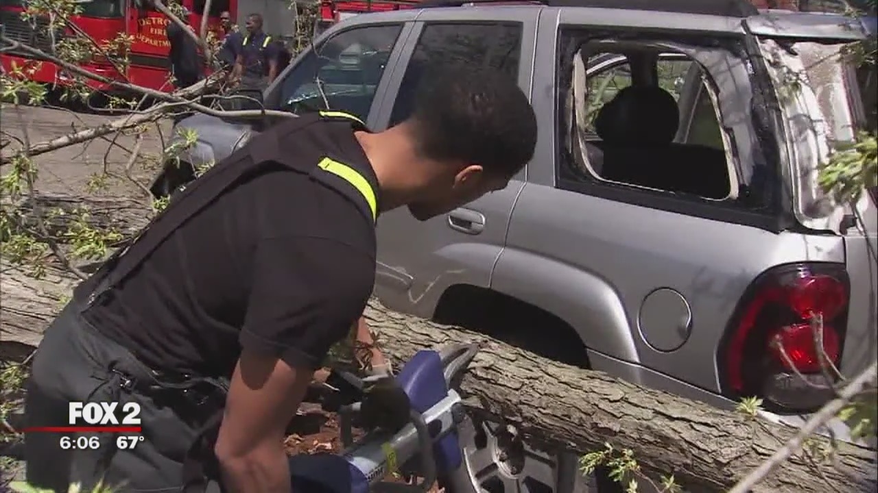 Winds rip down tree hitting driver on Detroit's west side