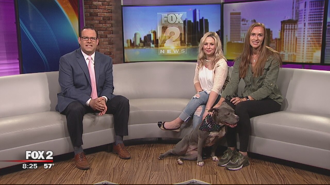 Empty the Shelter Pet Adoption Event